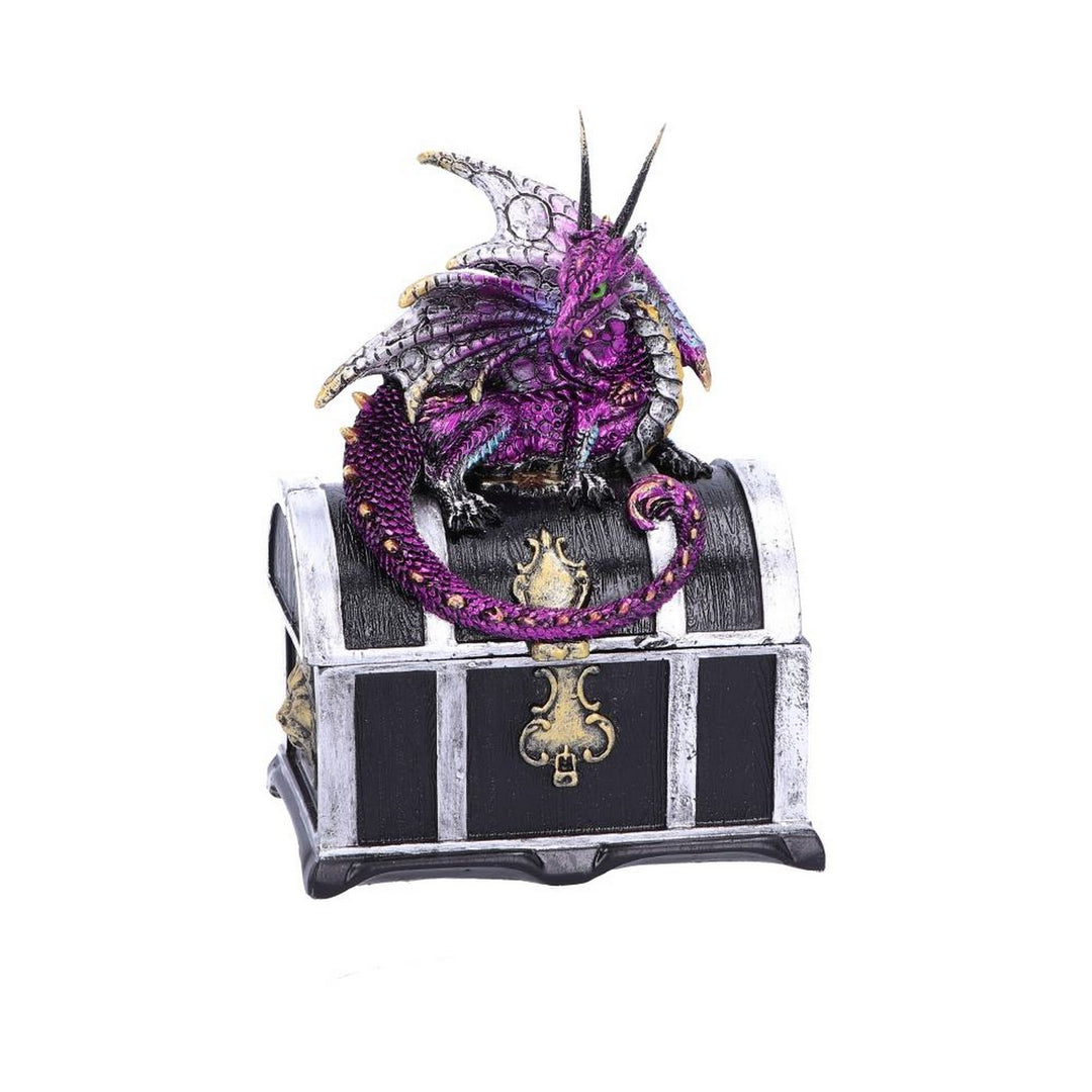 Reptilian Riches Dragon Sitting on a Treasure Chest Storage Box U4800P9