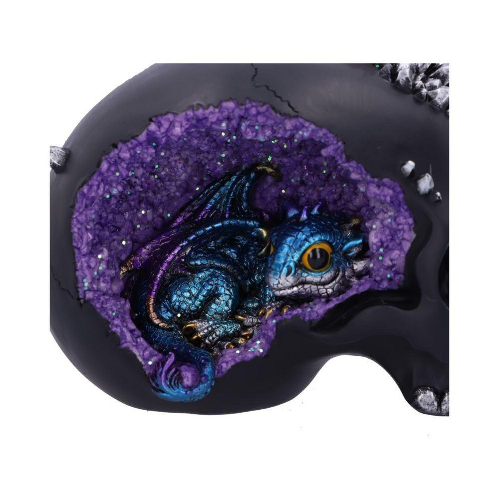 Crystal Cave Small Dragon Hiding within a Crystal Skull U5078R0