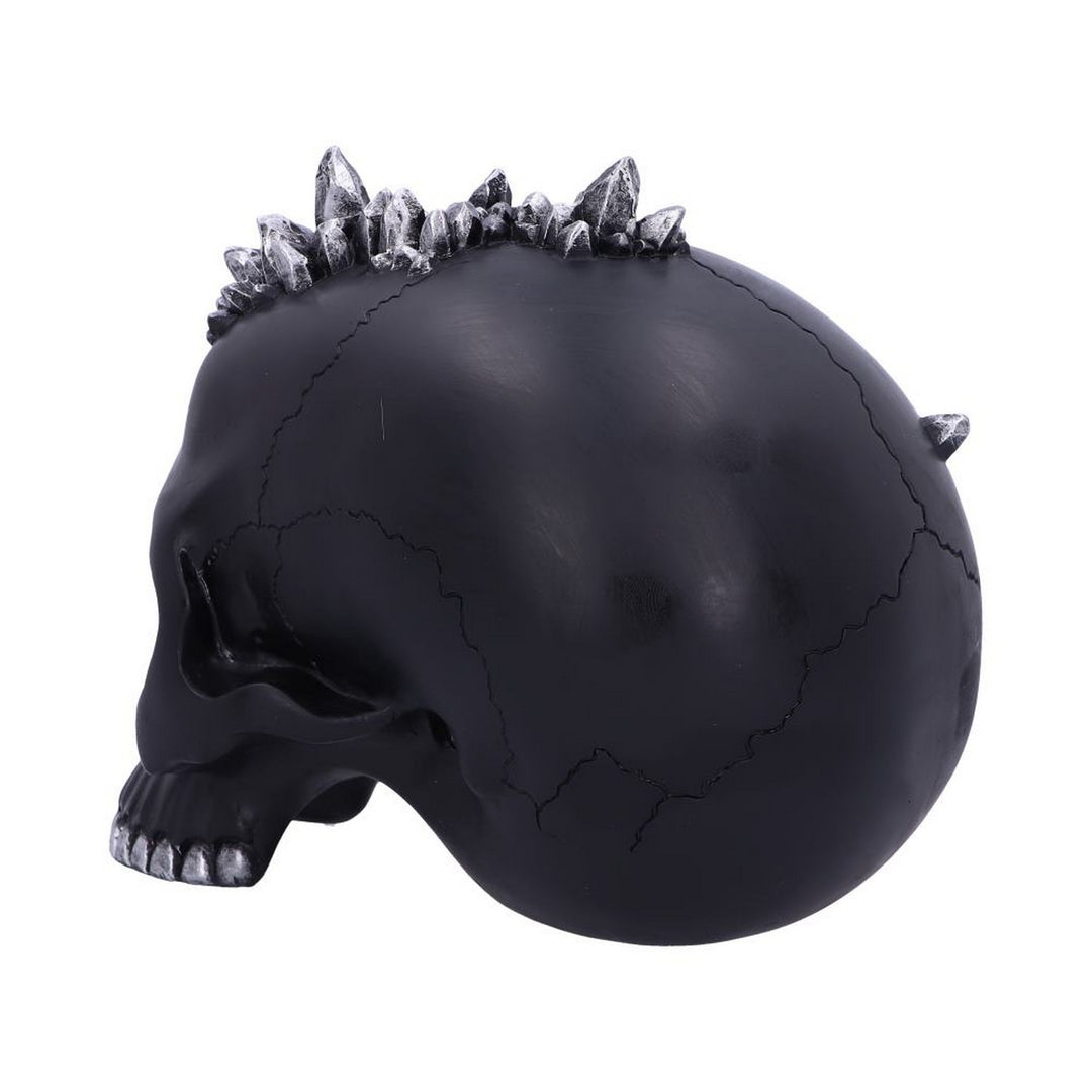 Crystal Cave Small Dragon Hiding within a Crystal Skull U5078R0
