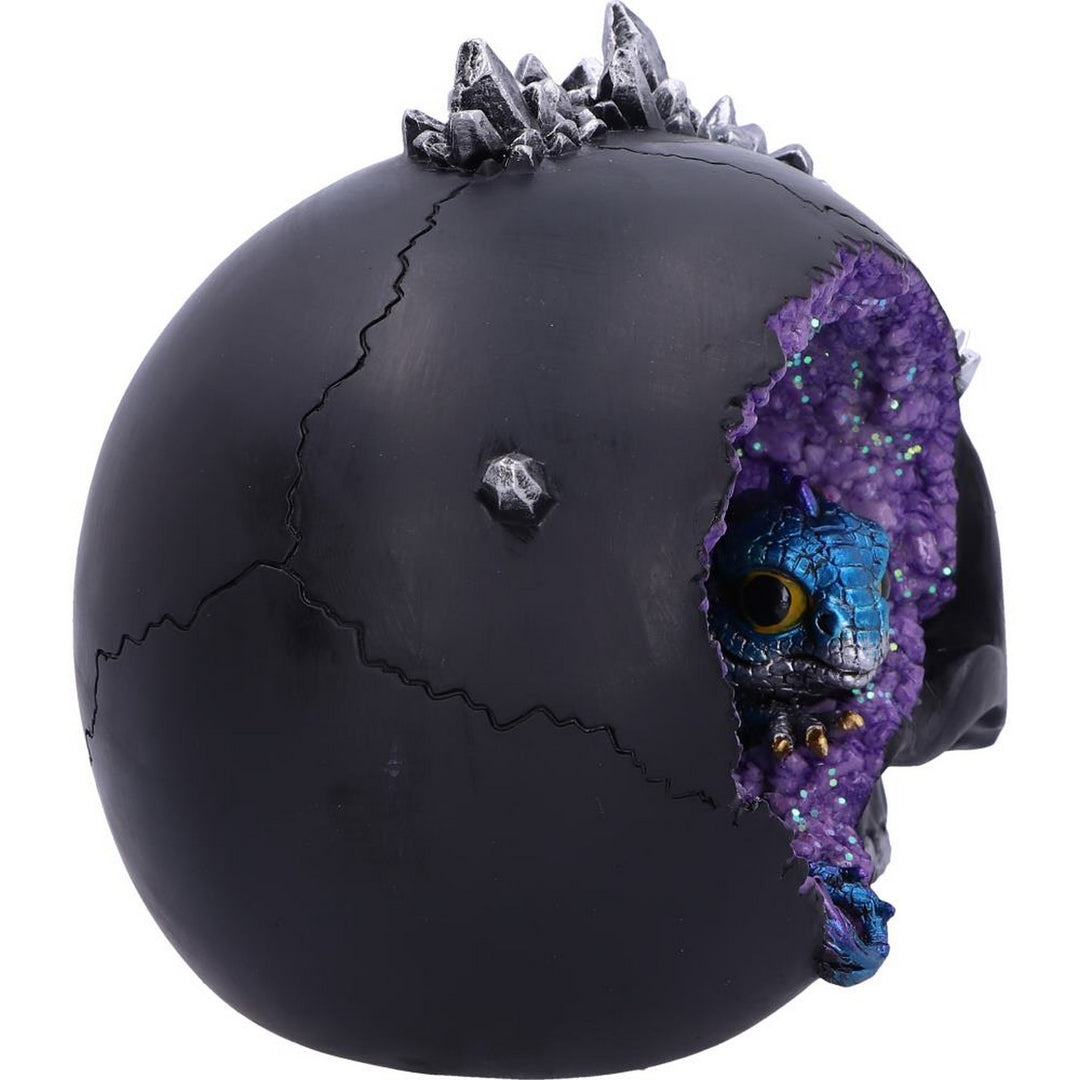 Crystal Cave Small Dragon Hiding within a Crystal Skull U5078R0
