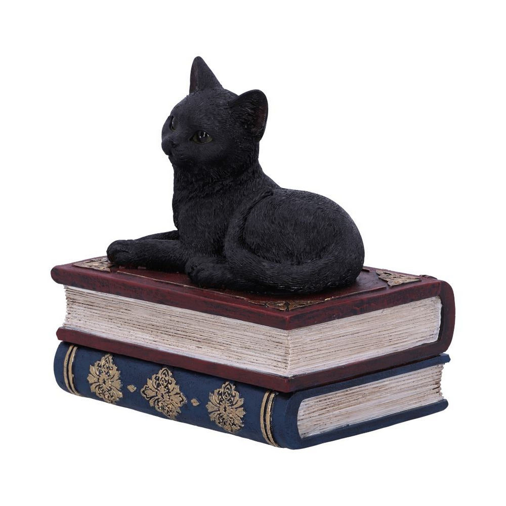 Salems Spells Witches Familiar Black Cat and Spellbook Box U5456T1