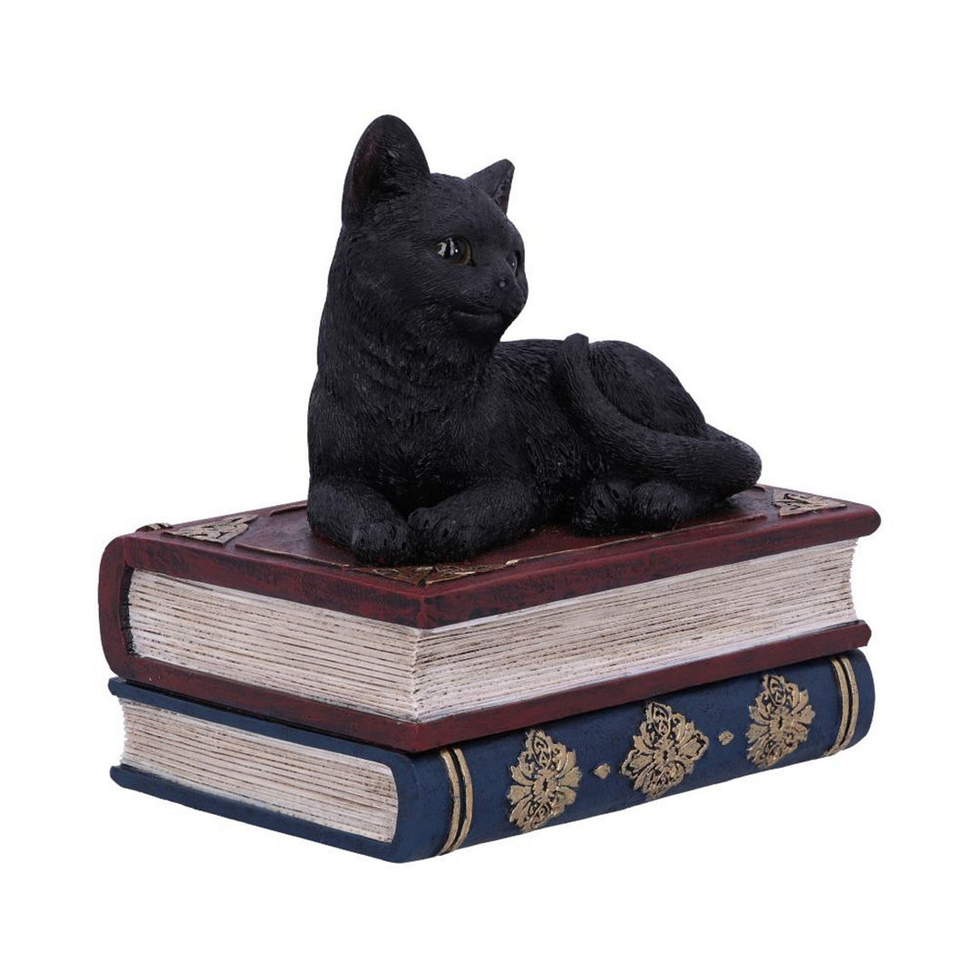 Salems Spells Witches Familiar Black Cat and Spellbook Box U5456T1
