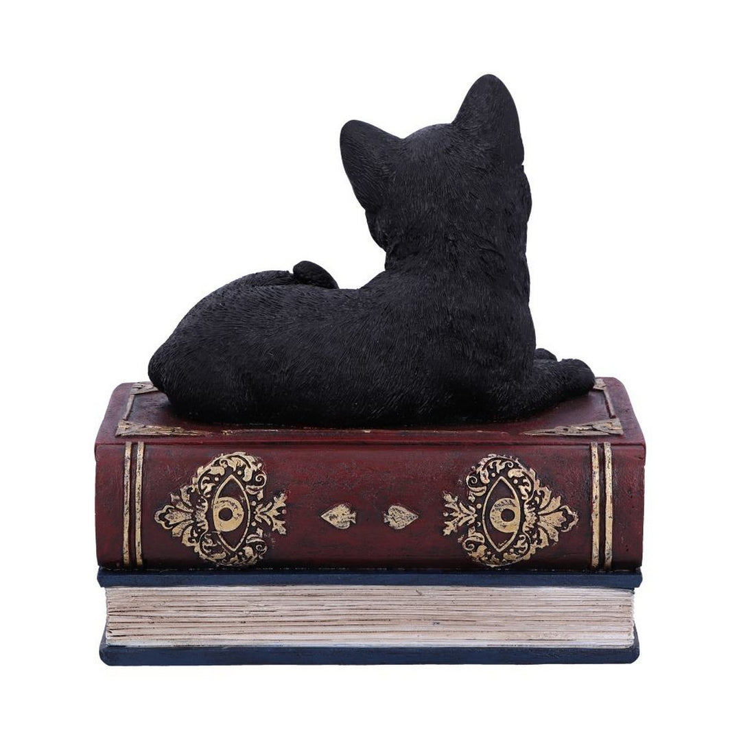 Salems Spells Witches Familiar Black Cat and Spellbook Box U5456T1