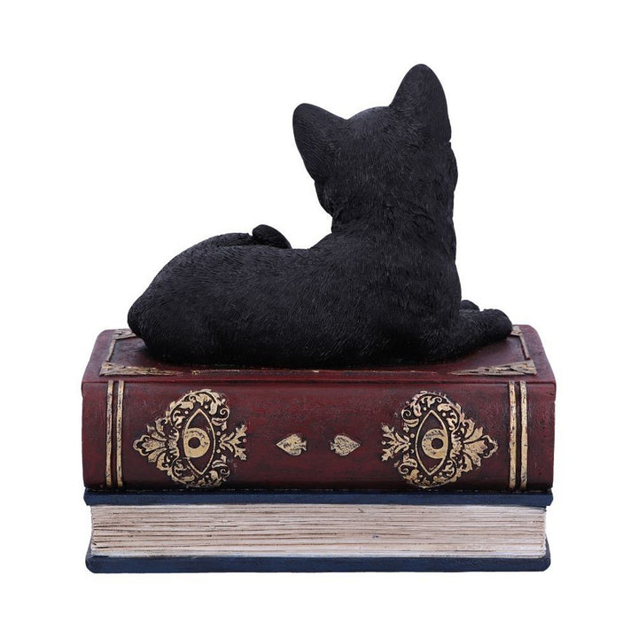 Salems Spells Witches Familiar Black Cat and Spellbook Box U5456T1
