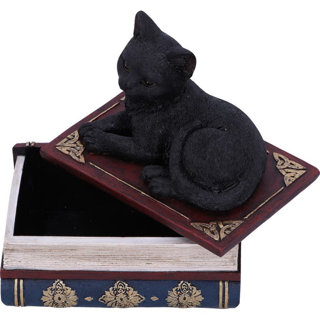 Salems Spells Witches Familiar Black Cat and Spellbook Box U5456T1