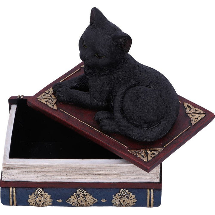Salems Spells Witches Familiar Black Cat and Spellbook Box U5456T1