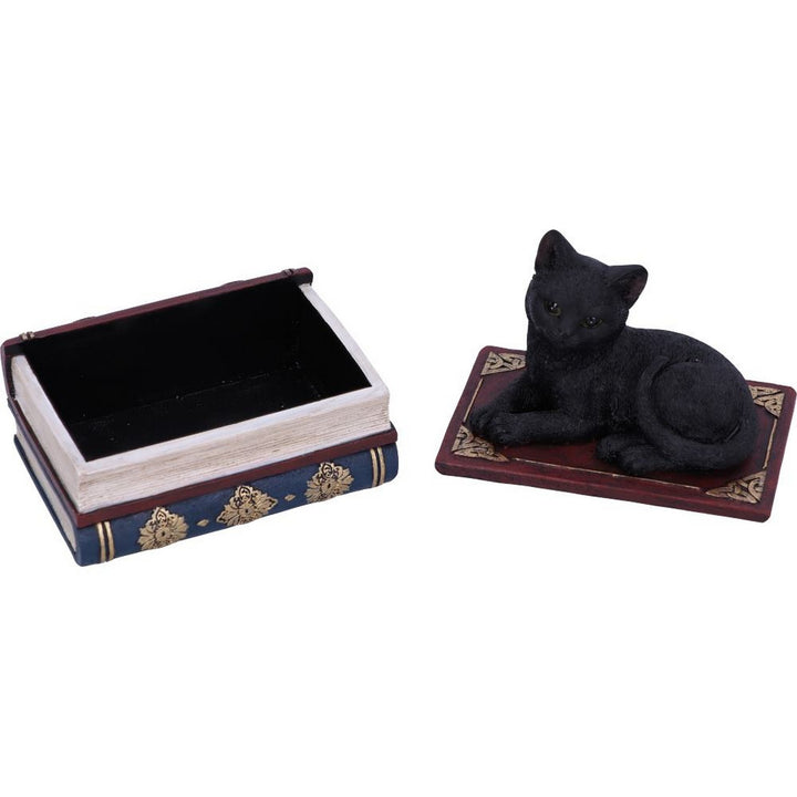 Salems Spells Witches Familiar Black Cat and Spellbook Box U5456T1