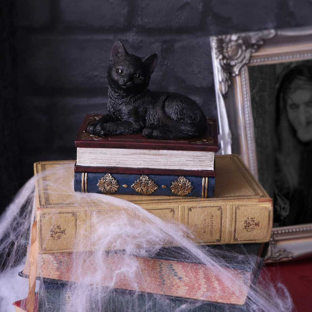 Salems Spells Witches Familiar Black Cat and Spellbook Box U5456T1