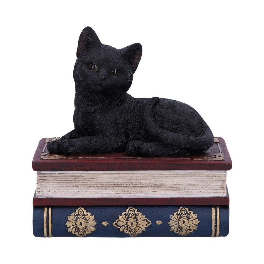 Salems Spells Witches Familiar Black Cat and Spellbook Box U5456T1