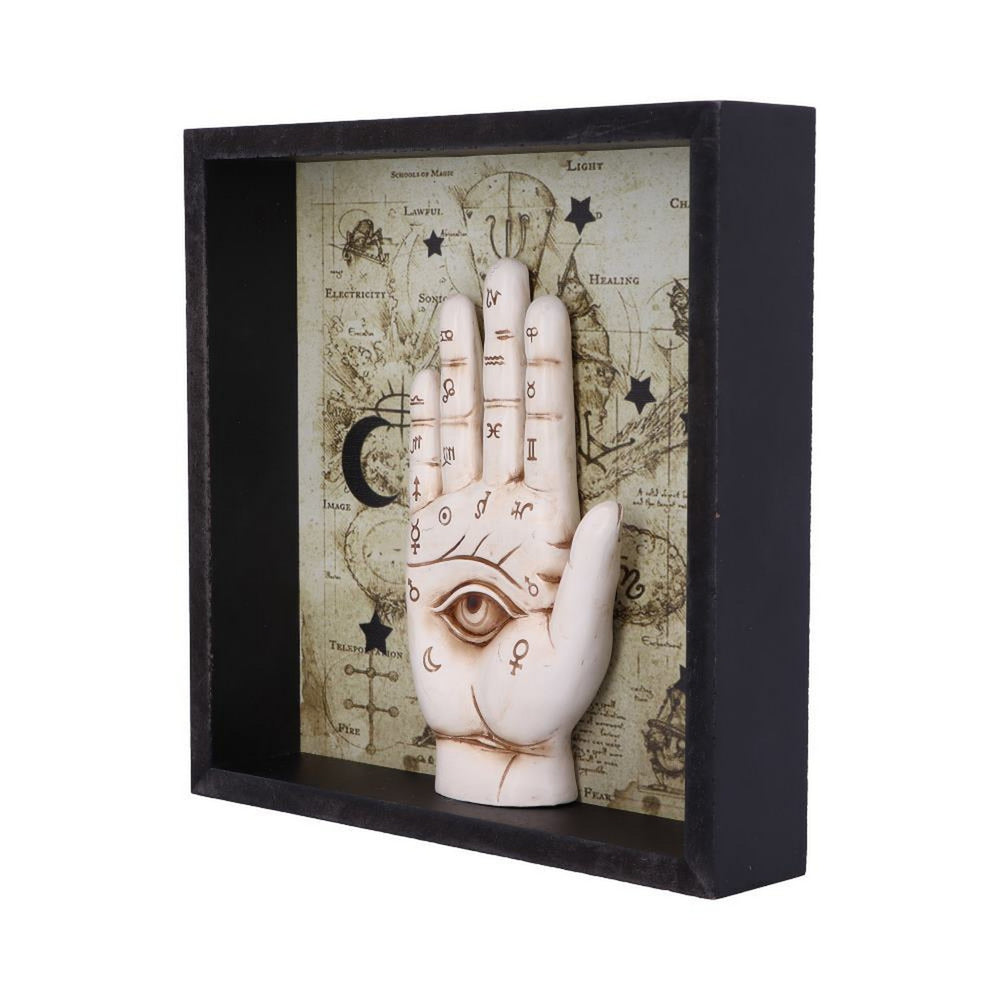 Palmistry Companion Framed Chiromancy Wall Mounted Art U5464T1