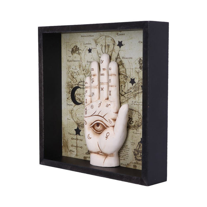 Palmistry Companion Framed Chiromancy Wall Mounted Art U5464T1
