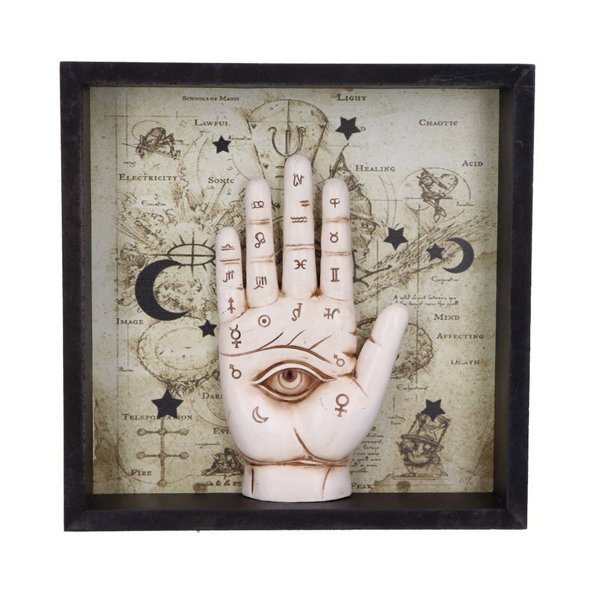 Palmistry Companion Framed Chiromancy Wall Mounted Art U5464T1