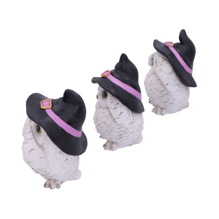 Three Wise Feathered Familiars 9cm U5736U1