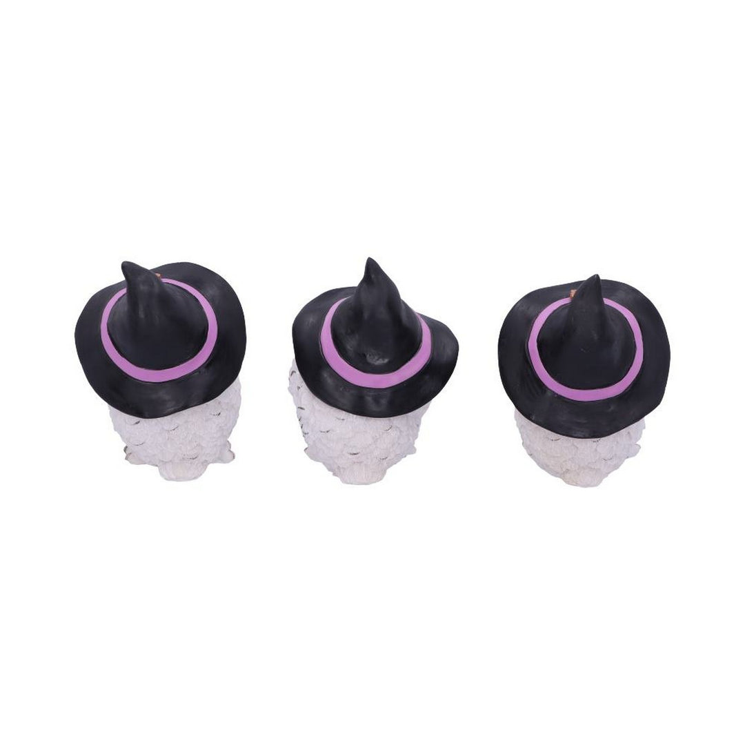 Three Wise Feathered Familiars 9cm U5736U1