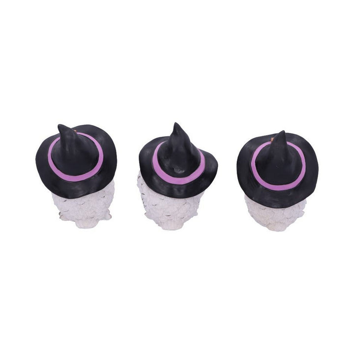 Three Wise Feathered Familiars 9cm U5736U1