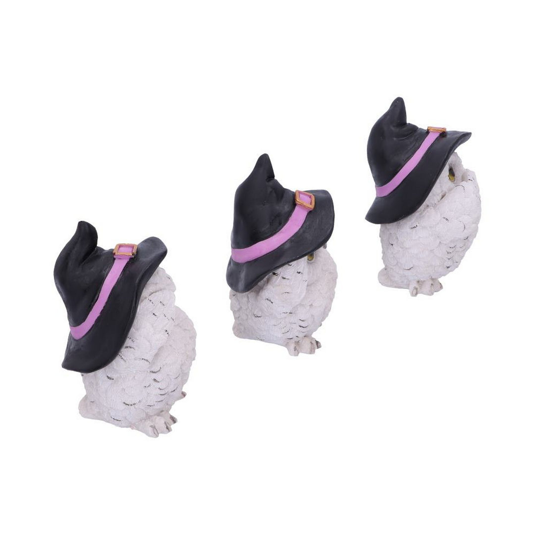 Three Wise Feathered Familiars 9cm U5736U1