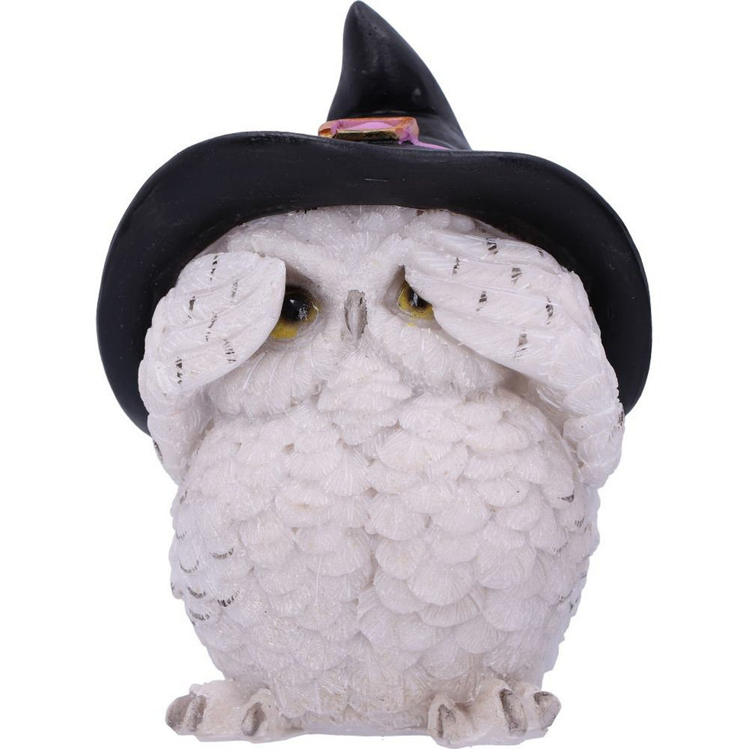Three Wise Feathered Familiars 9cm U5736U1