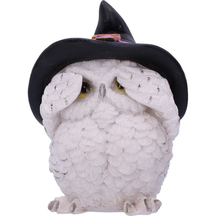 Three Wise Feathered Familiars 9cm U5736U1