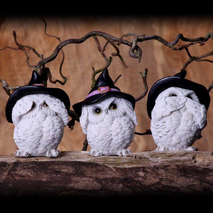 Three Wise Feathered Familiars 9cm U5736U1