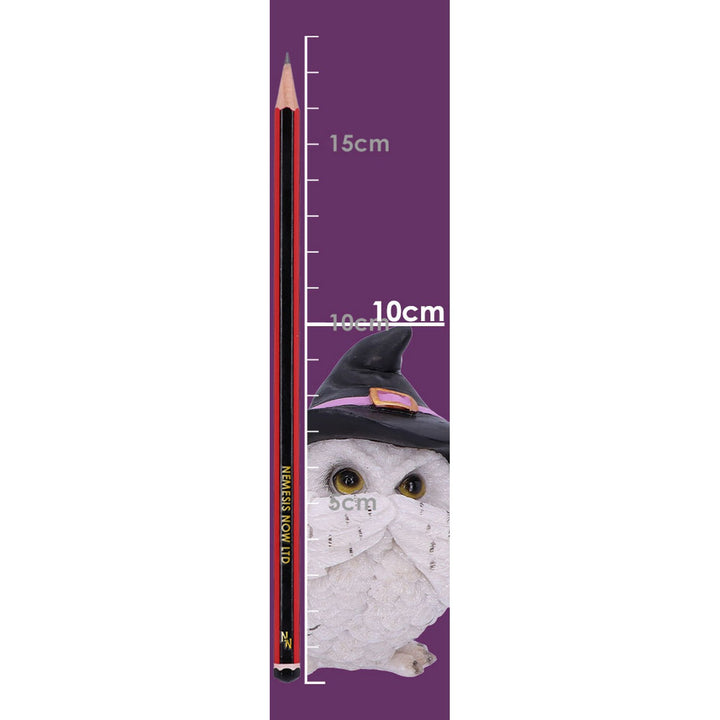 Three Wise Feathered Familiars 9cm U5736U1