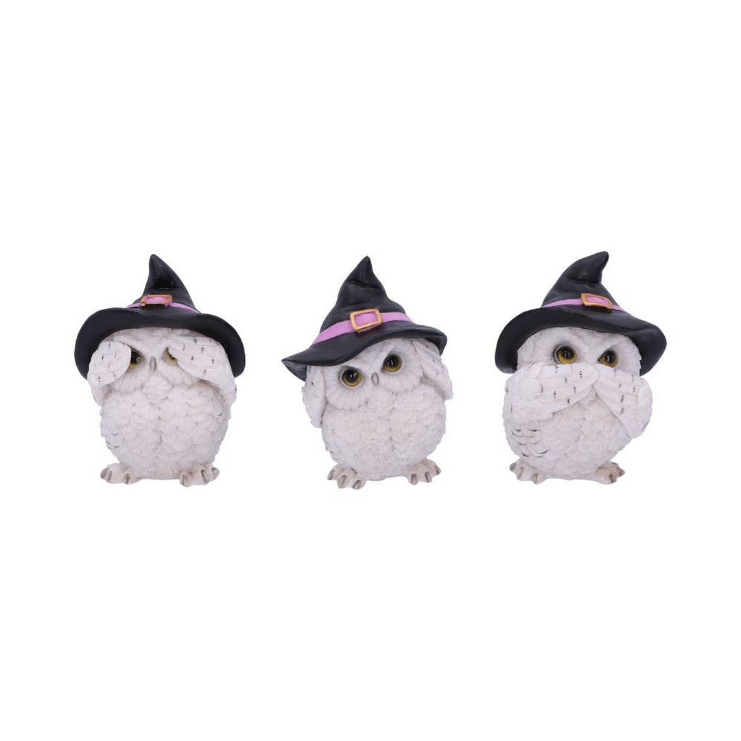 Three Wise Feathered Familiars 9cm U5736U1