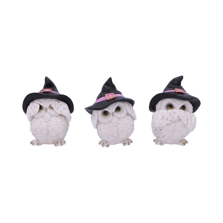 Three Wise Feathered Familiars 9cm U5736U1