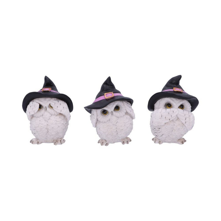 Three Wise Feathered Familiars 9cm U5736U1