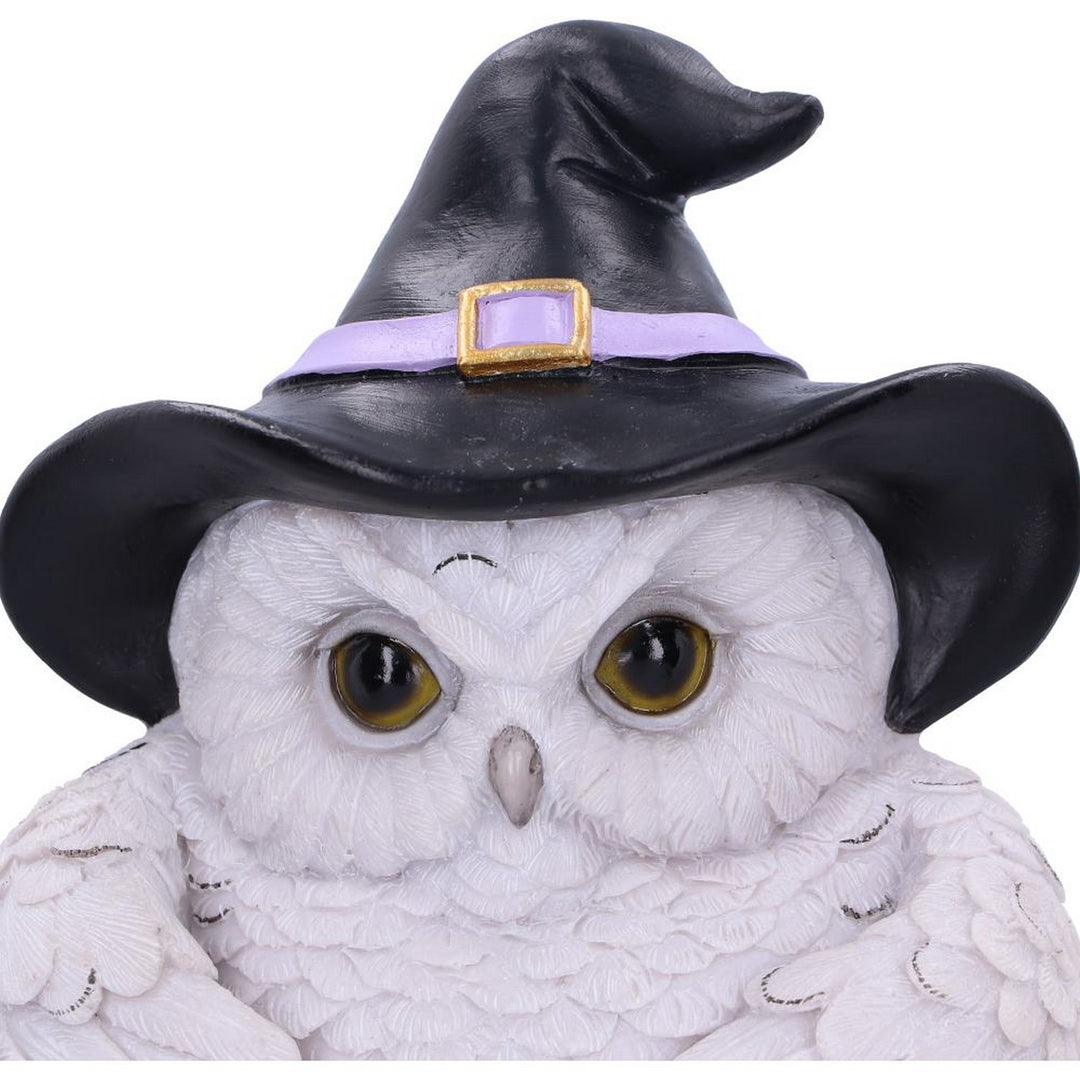 Snowy Owl Magic Door Knocker 21cm U6130W2