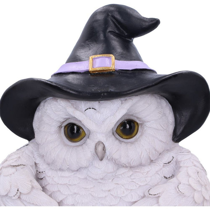 Snowy Owl Magic Door Knocker 21cm U6130W2