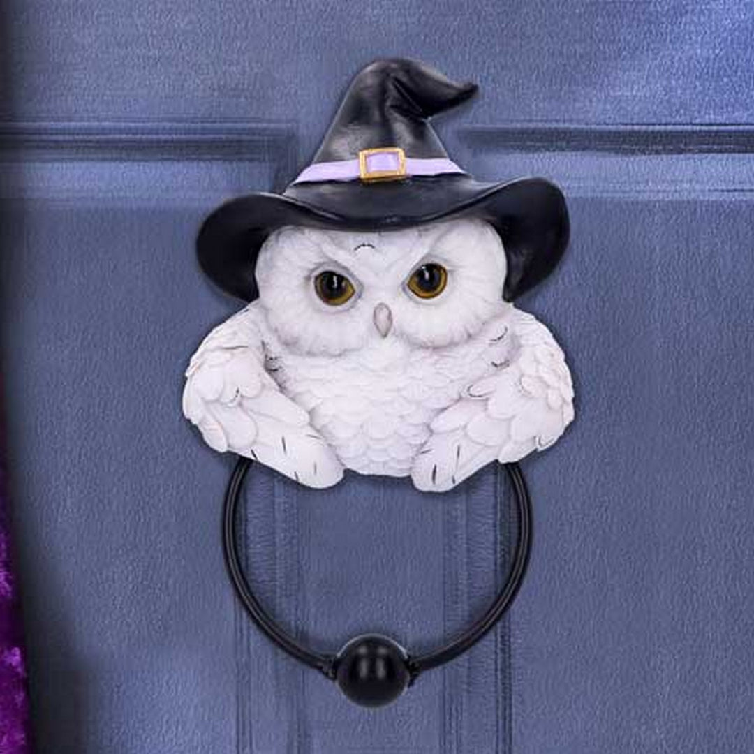 Snowy Owl Magic Door Knocker 21cm U6130W2