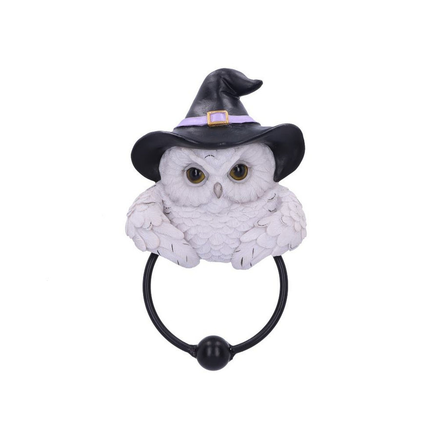 Snowy Owl Magic Door Knocker 21cm U6130W2