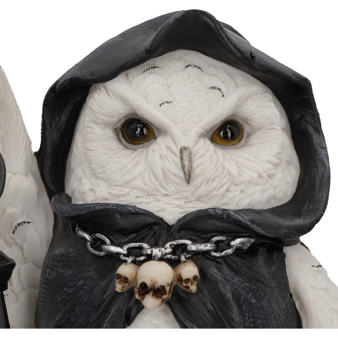 Reapers Flight Lantern Grim Reaper Owl Figurine 17cm U6173W2