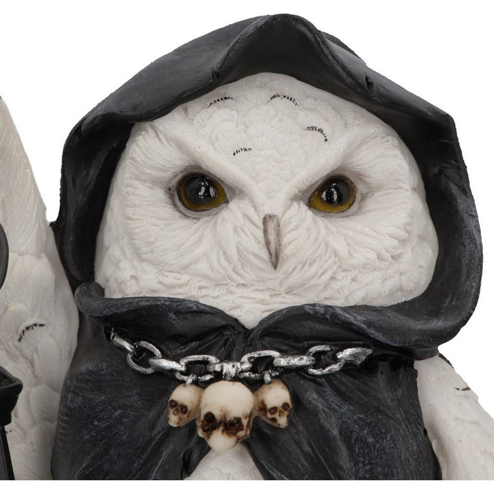 Reapers Flight Lantern Grim Reaper Owl Figurine 17cm U6173W2