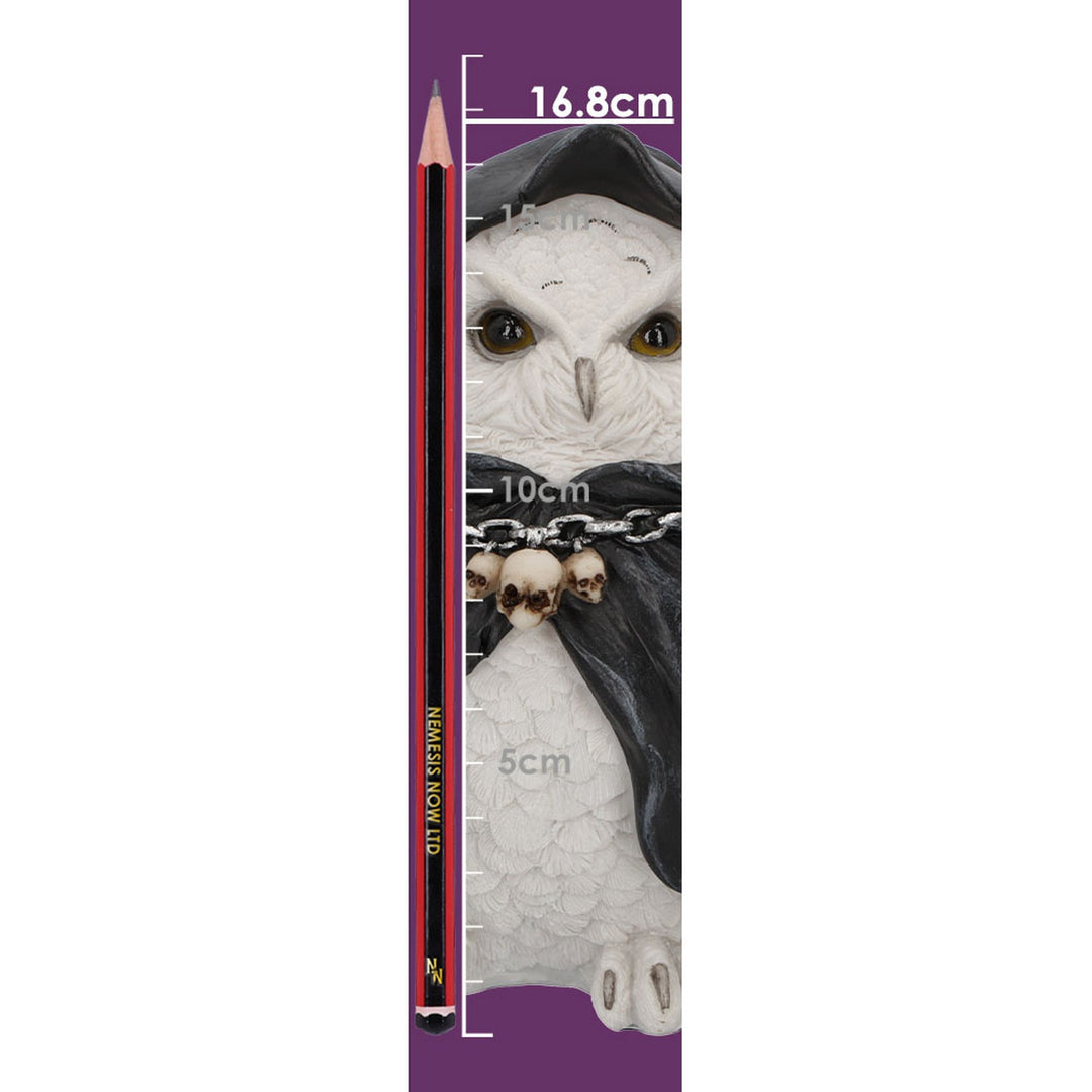 Reapers Flight Lantern Grim Reaper Owl Figurine 17cm U6173W2