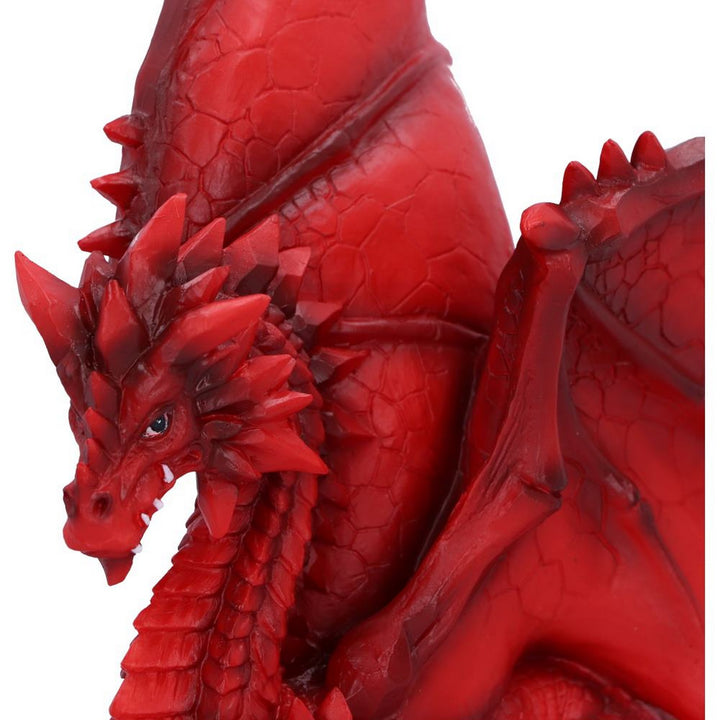 Tailong Red Dragon Figurine 21.5cm U6436X3