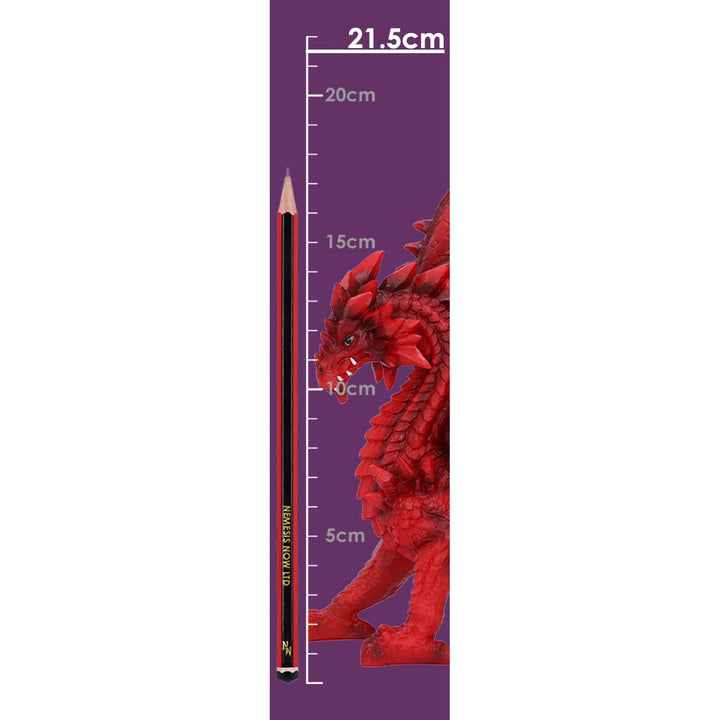 Tailong Red Dragon Figurine 21.5cm U6436X3