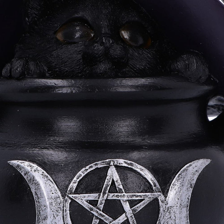 Peek-a-brew Light Up Cat Ornament U6545Y3