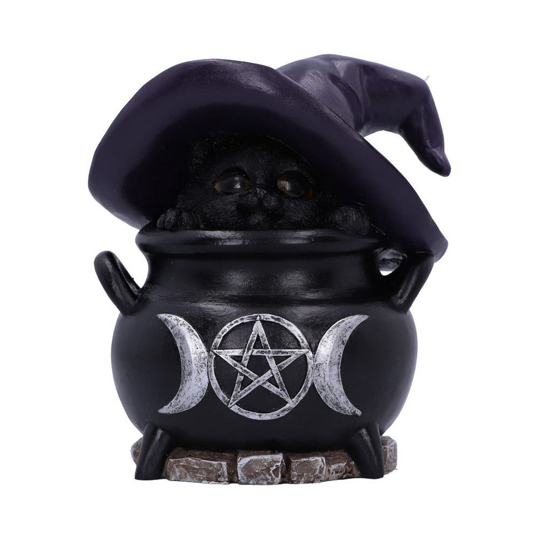 Peek-a-brew Light Up Cat Ornament U6545Y3