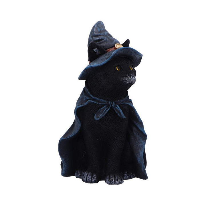 Bewitching Witch Cat Figurine 18.5cm U6689A24