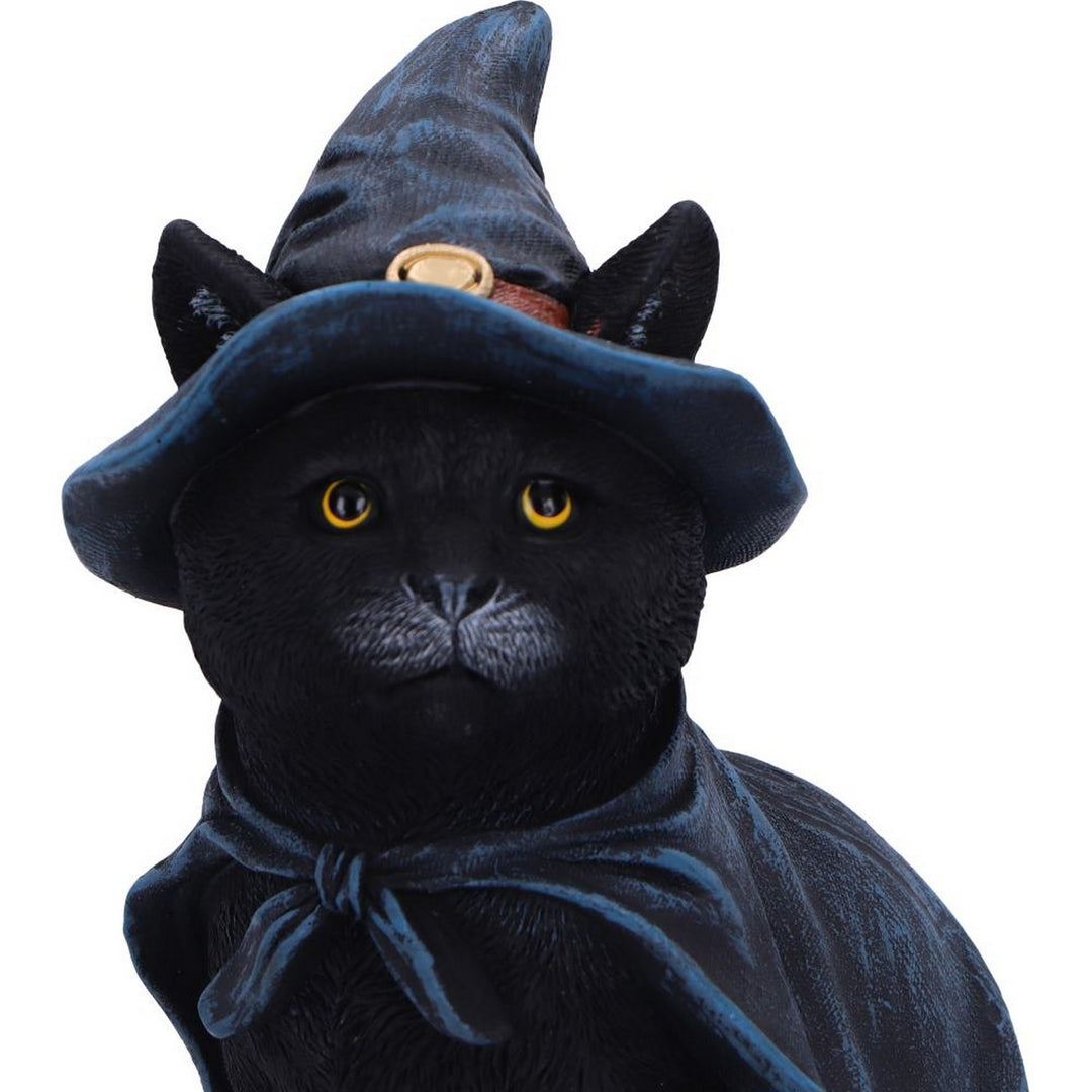 Bewitching Witch Cat Figurine 18.5cm U6689A24