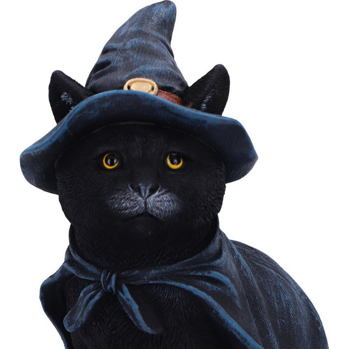 Bewitching Witch Cat Figurine 18.5cm U6689A24