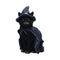 Bewitching Witch Cat Figurine 18.5cm U6689A24