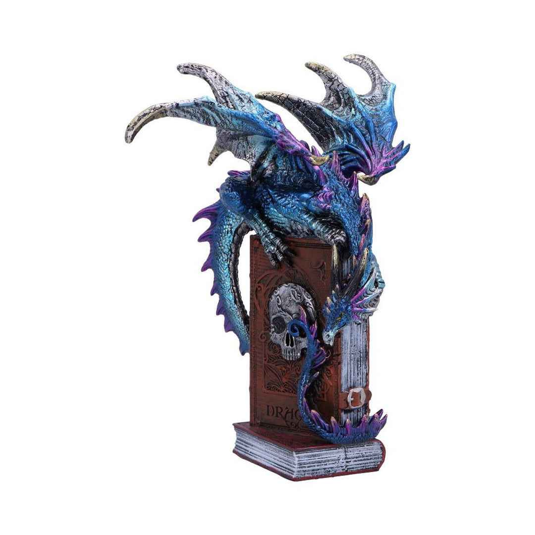 A Tale of Dragons Skull Book Figurine 22cm U6700A24