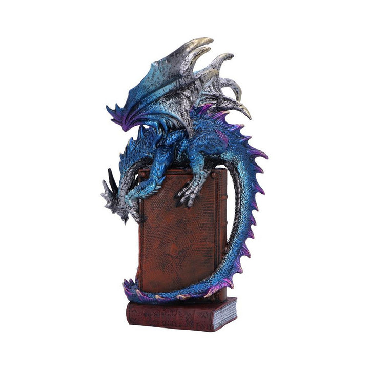 A Tale of Dragons Skull Book Figurine 22cm U6700A24