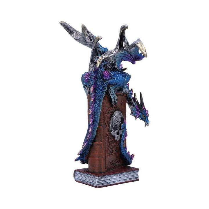 A Tale of Dragons Skull Book Figurine 22cm U6700A24