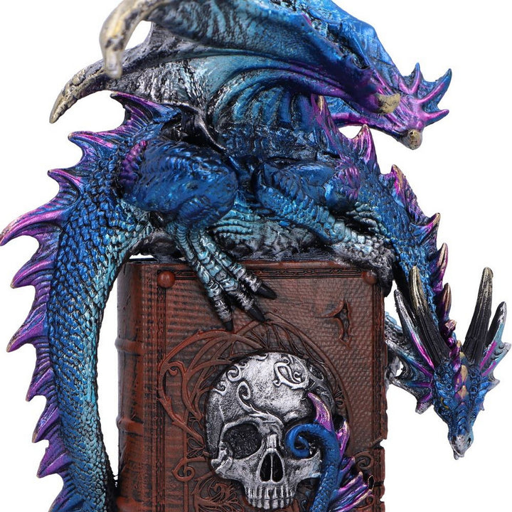 A Tale of Dragons Skull Book Figurine 22cm U6700A24