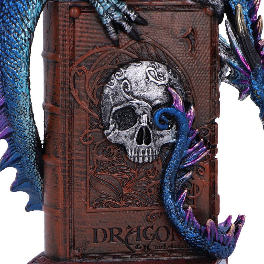 A Tale of Dragons Skull Book Figurine 22cm U6700A24
