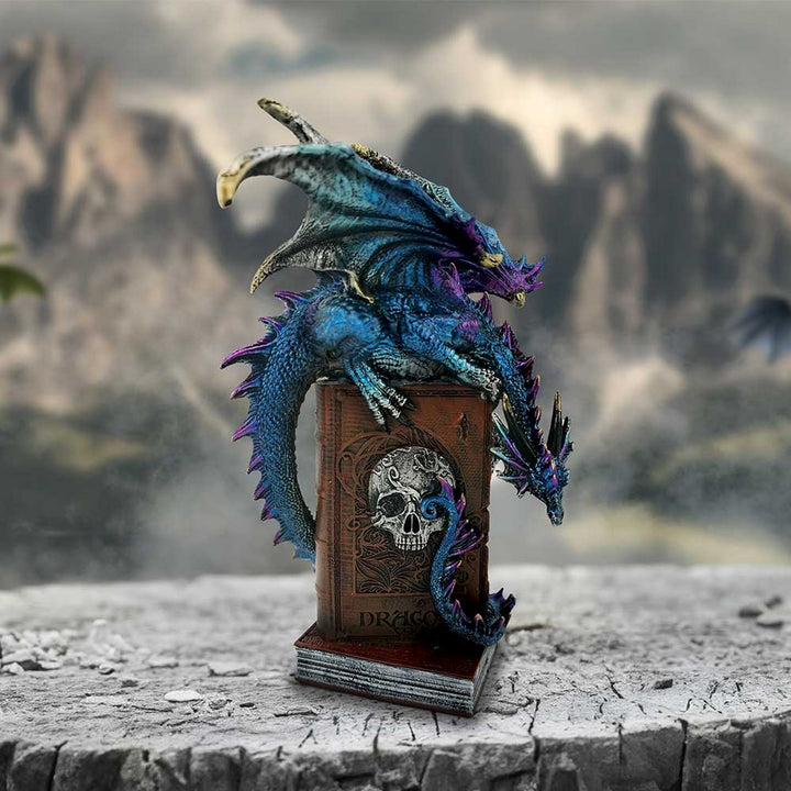 A Tale of Dragons Skull Book Figurine 22cm U6700A24