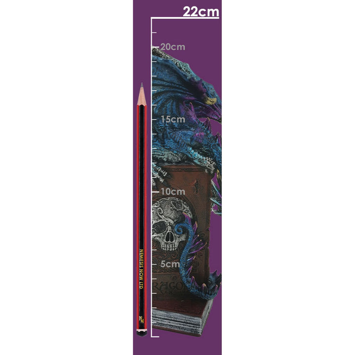 A Tale of Dragons Skull Book Figurine 22cm U6700A24