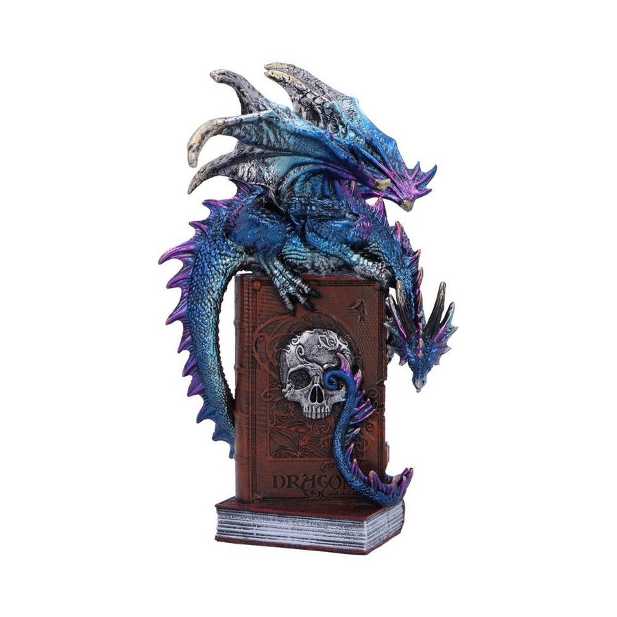 A Tale of Dragons Skull Book Figurine 22cm U6700A24